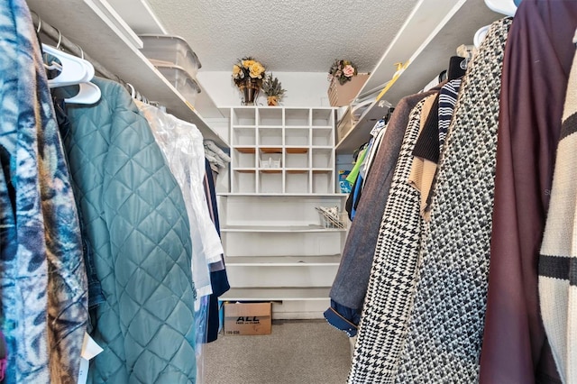 walk in closet with carpet flooring