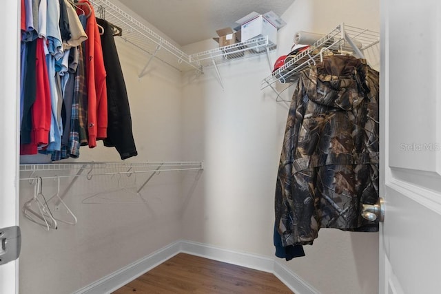 walk in closet with hardwood / wood-style flooring