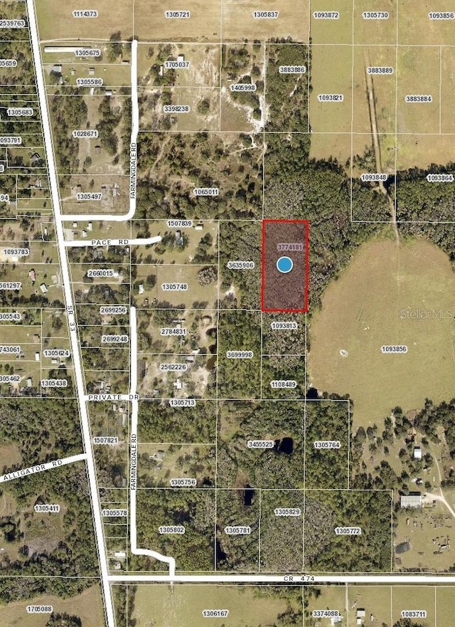 Pace Rd, Clermont FL, 34714 land for sale