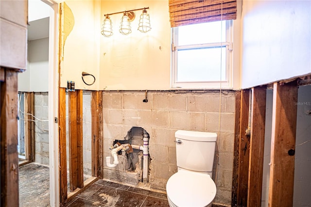 bathroom with toilet