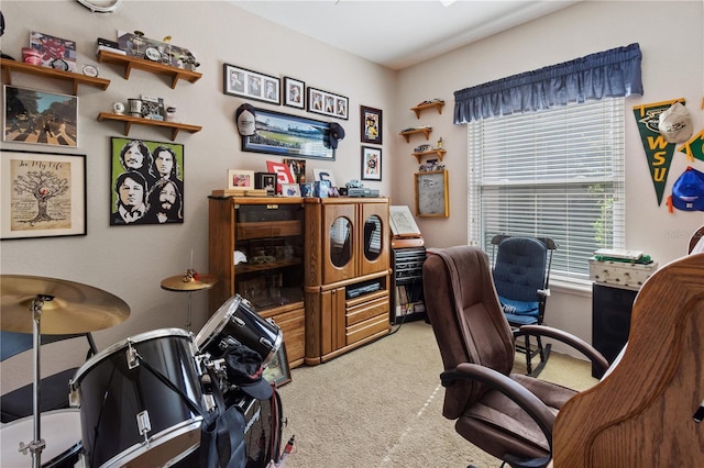 office with carpet flooring