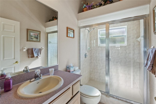 bathroom with vanity, toilet, and a shower with shower door