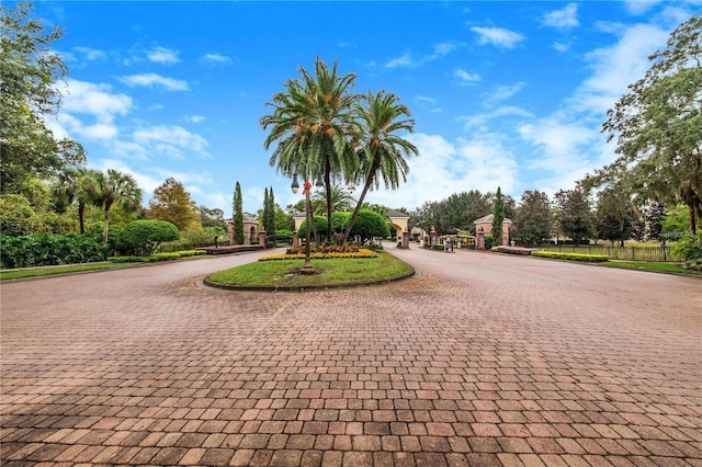 view of community featuring curved driveway