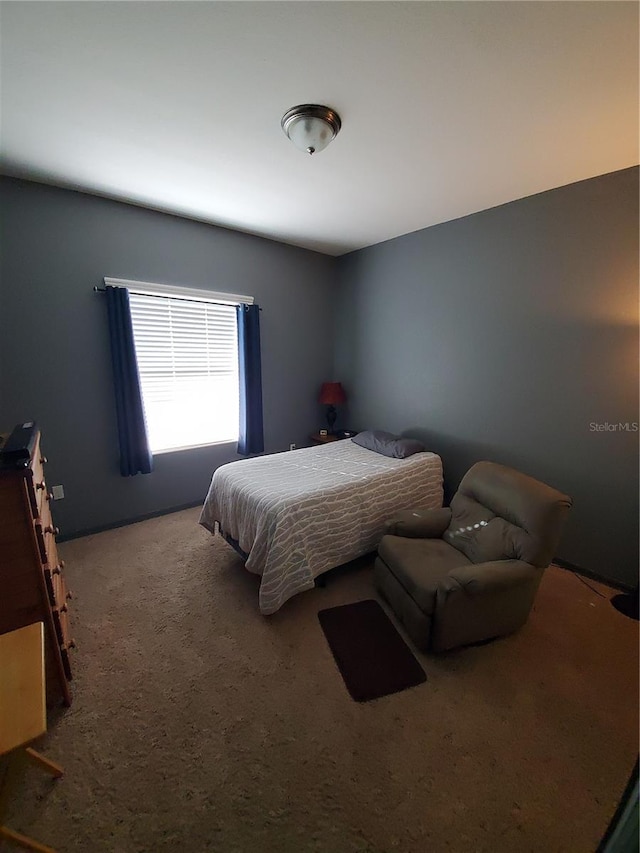 bedroom with carpet floors