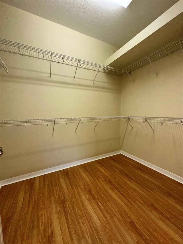 walk in closet with hardwood / wood-style flooring