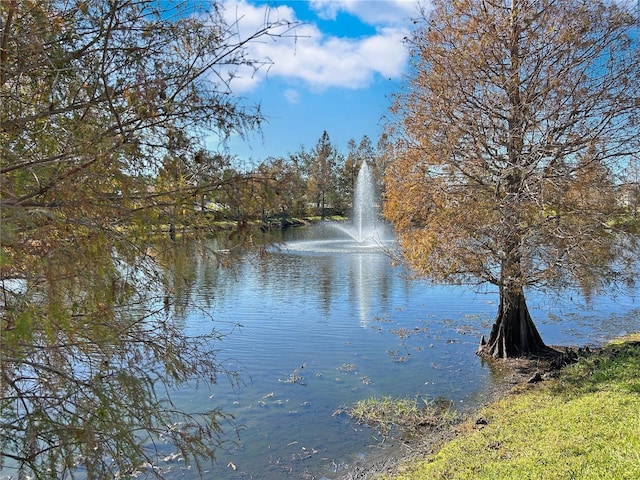 water view