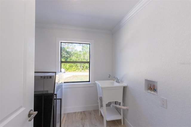 clothes washing area with washer hookup, light wood-type flooring, and ornamental molding