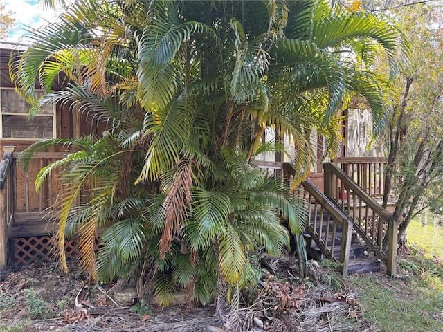 view of yard with a deck