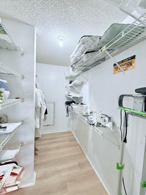 walk in closet featuring light wood-type flooring