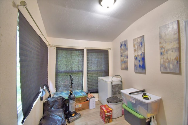 interior space with lofted ceiling and light wood-type flooring