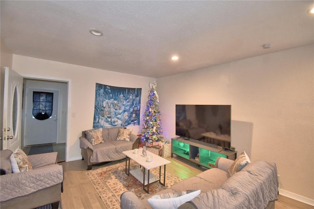 living room featuring hardwood / wood-style flooring