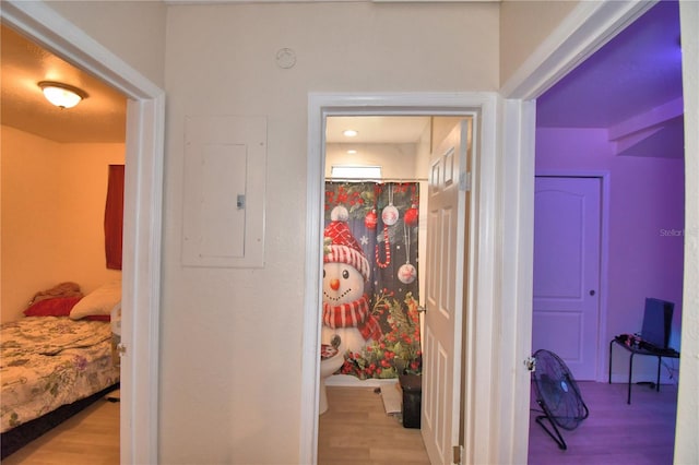 hallway with electric panel and light hardwood / wood-style flooring