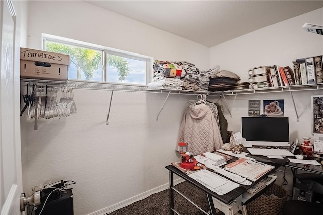 interior space featuring carpet floors