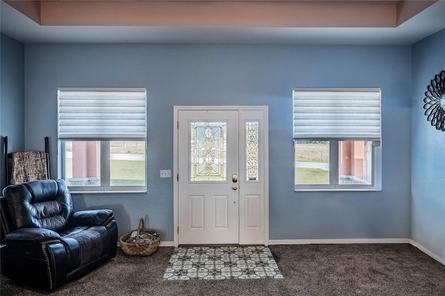 carpeted foyer featuring plenty of natural light