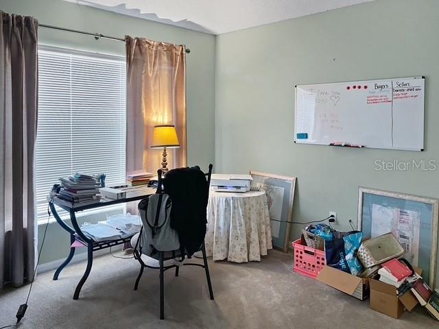 office area featuring carpet and plenty of natural light