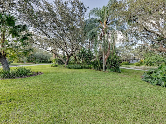 1072 Old Cutler Rd, Lake Wales, FL 33898 - view of green lawn