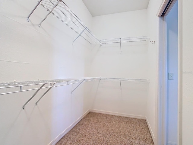 spacious closet with carpet