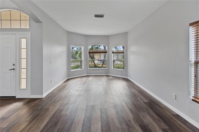 foyer with dark hardwood / wood-style floors and a healthy amount of sunlight