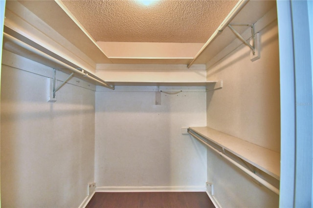 spacious closet featuring dark hardwood / wood-style floors