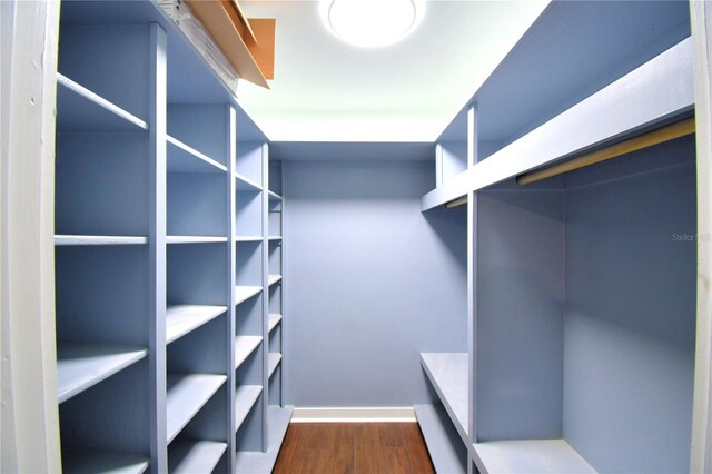 walk in closet with dark wood-type flooring