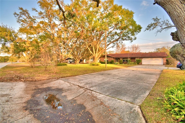 view of front facade with a front lawn