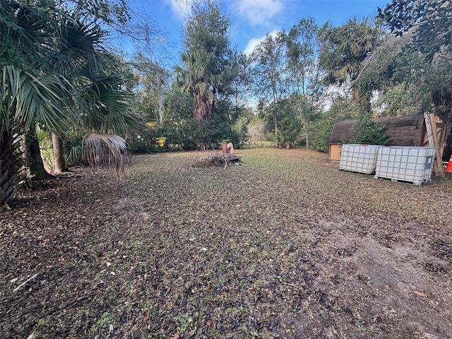 view of yard with a shed