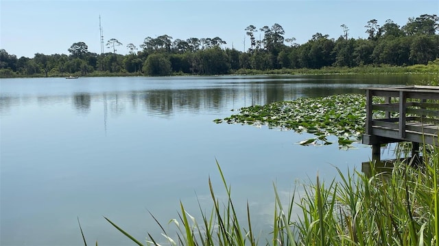 view of water feature