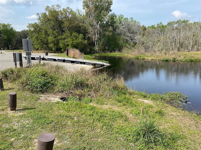 view of water feature featuring a dock