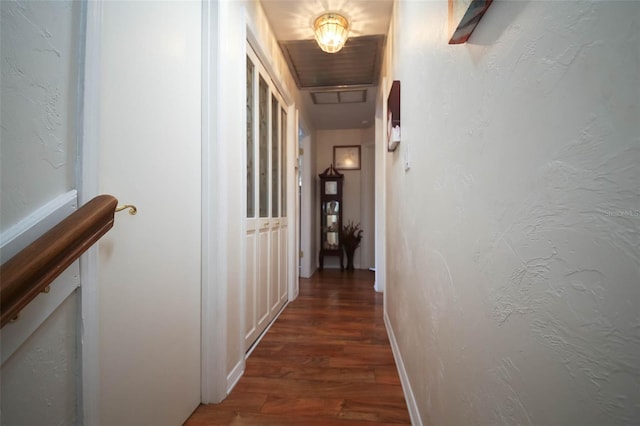 hallway featuring dark hardwood / wood-style flooring