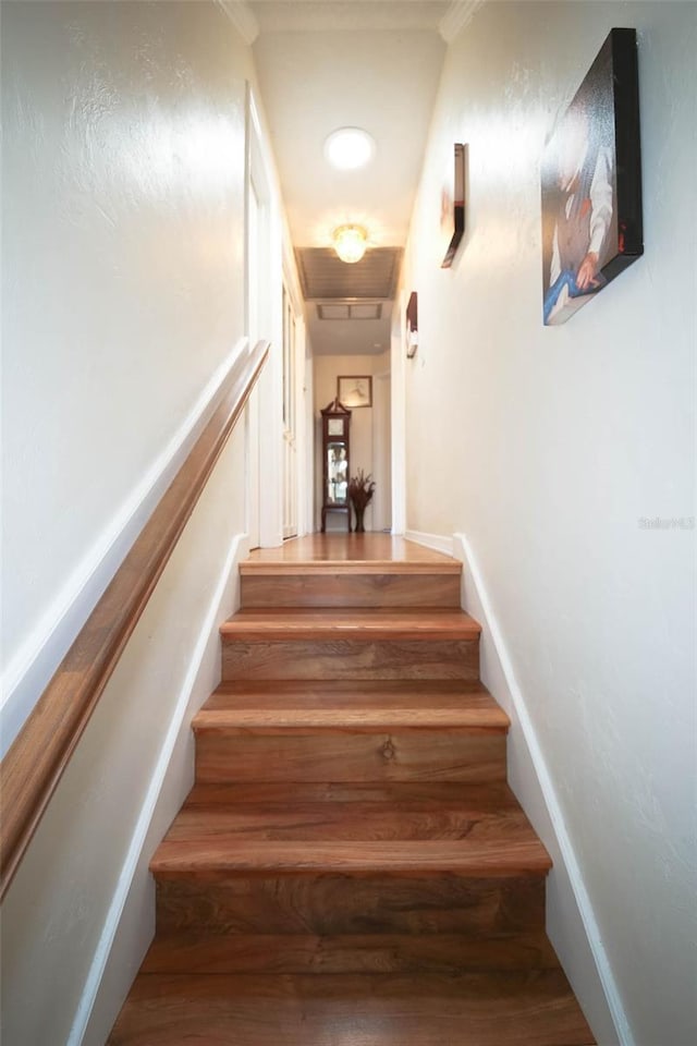 stairway with wood-type flooring