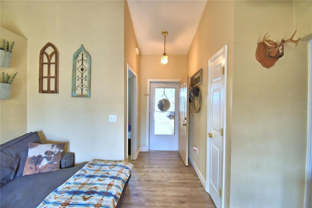 bedroom featuring a closet and wood-type flooring