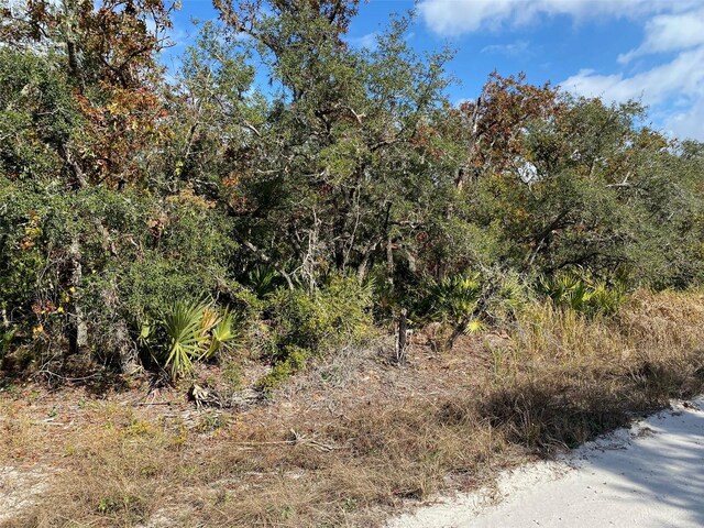 551 Turkey Oak Trl, Frostproof FL, 33843 land for sale