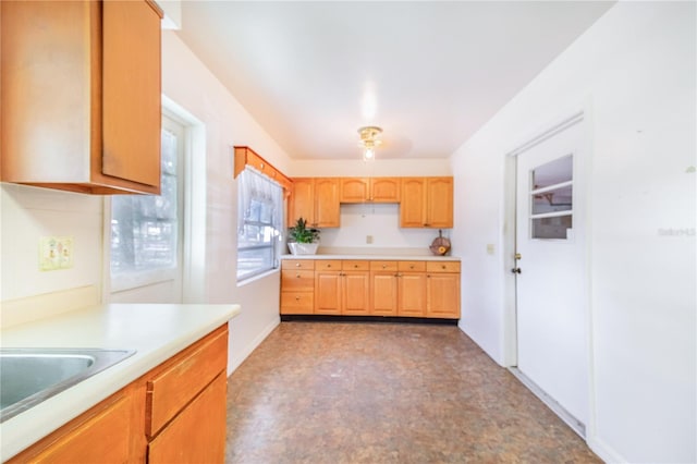 kitchen featuring sink