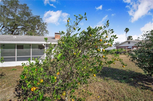 view of yard featuring a sunroom