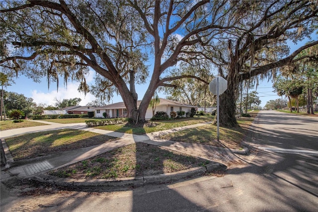 single story home featuring a front lawn