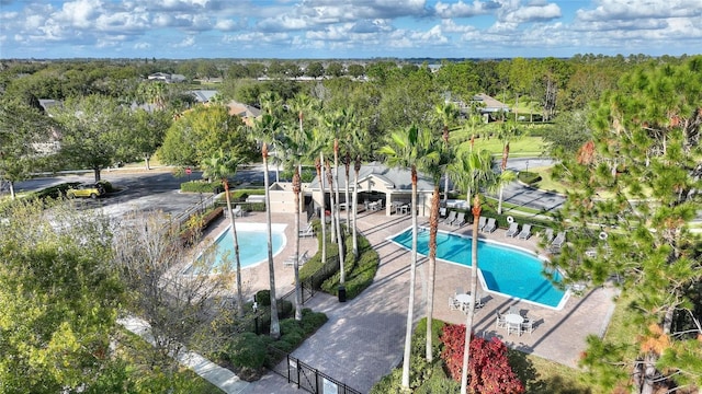 view of pool featuring a patio