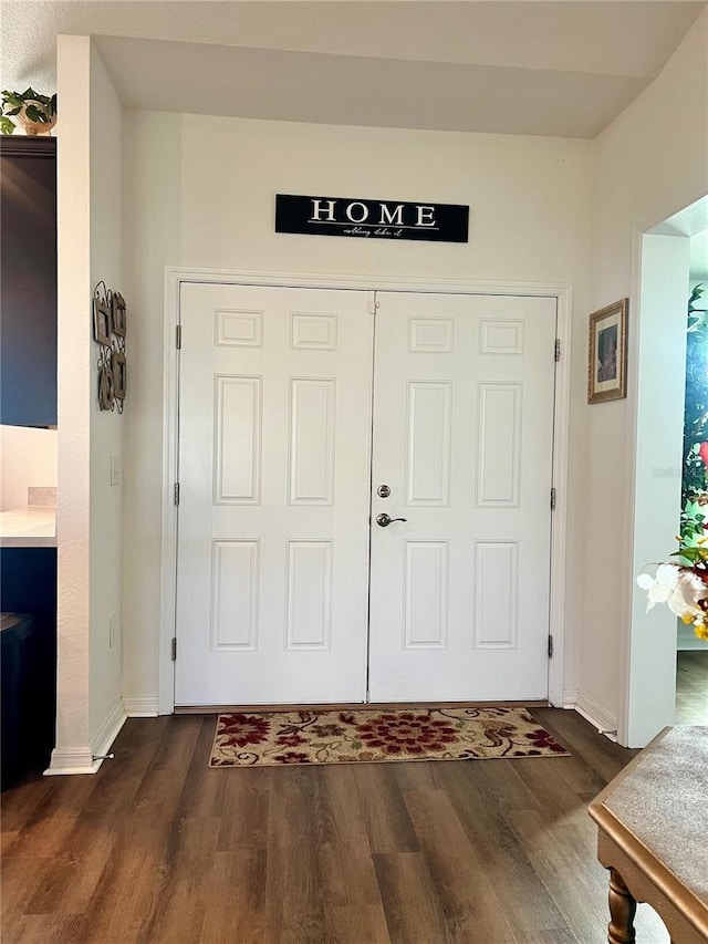 entrance foyer featuring dark wood-type flooring