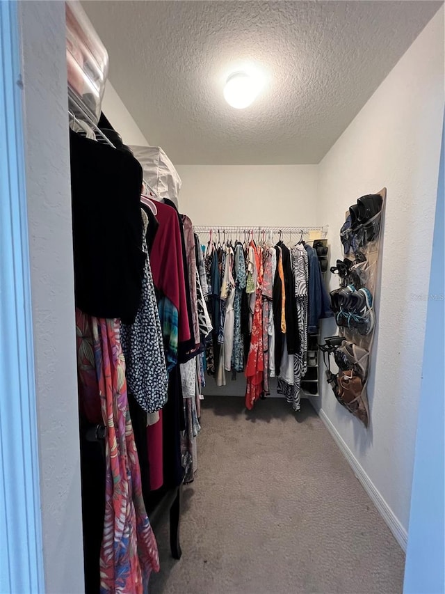 spacious closet with carpet floors