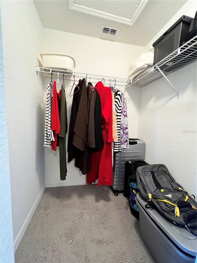 spacious closet featuring carpet floors