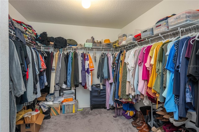 walk in closet featuring carpet flooring