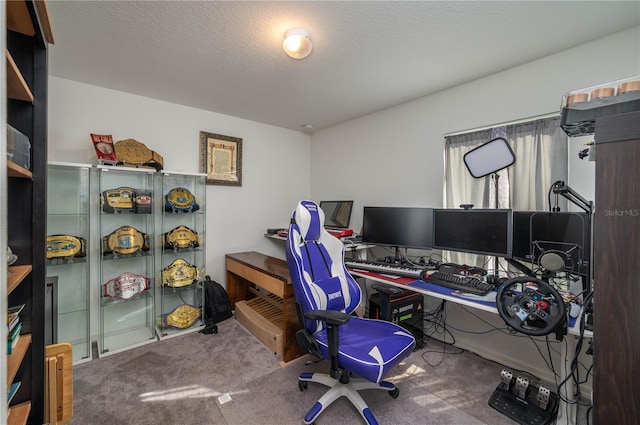 carpeted office space with a textured ceiling