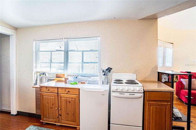 kitchen featuring white range, dark hardwood / wood-style floors, and a healthy amount of sunlight