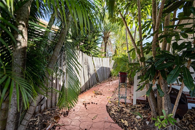 view of yard featuring a patio