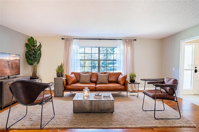 living room featuring hardwood / wood-style flooring and a textured ceiling