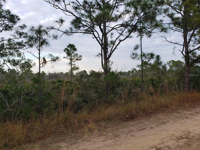 Listing photo 3 for 602 Bottlebrush Ave, Lake Placid FL 33852