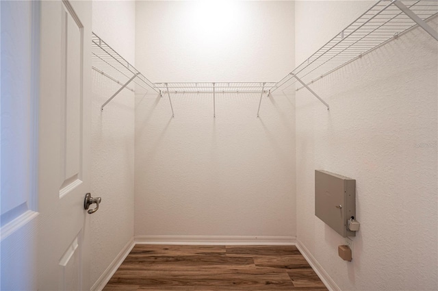 walk in closet with dark hardwood / wood-style flooring