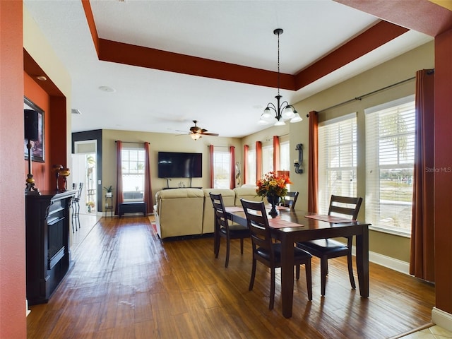 dining room with ceiling fan with notable chandelier, dark hardwood / wood-style floors, and a raised ceiling