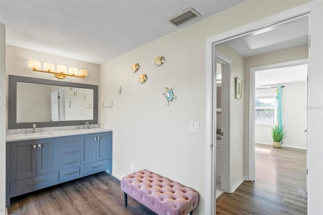 bathroom featuring wood-type flooring and vanity