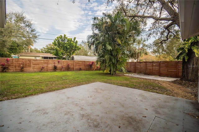 view of yard featuring a patio area