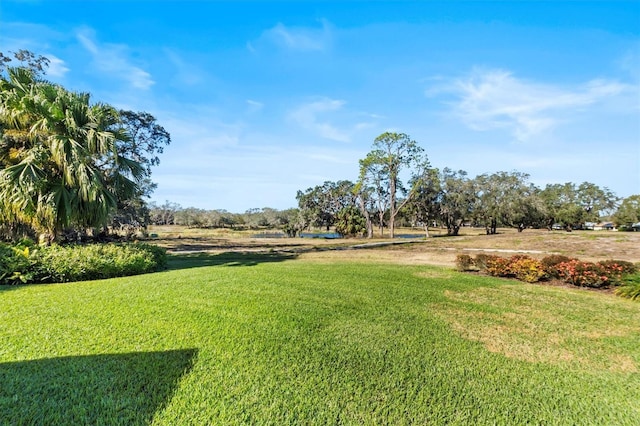 view of yard with a rural view